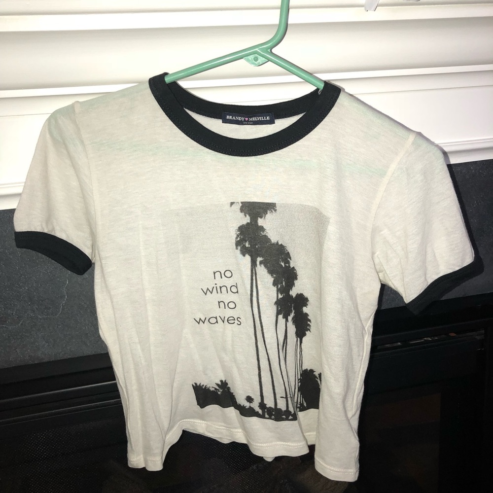 Brandy Melville crop tee